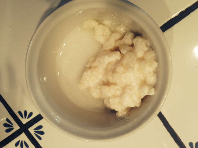 kefir grains