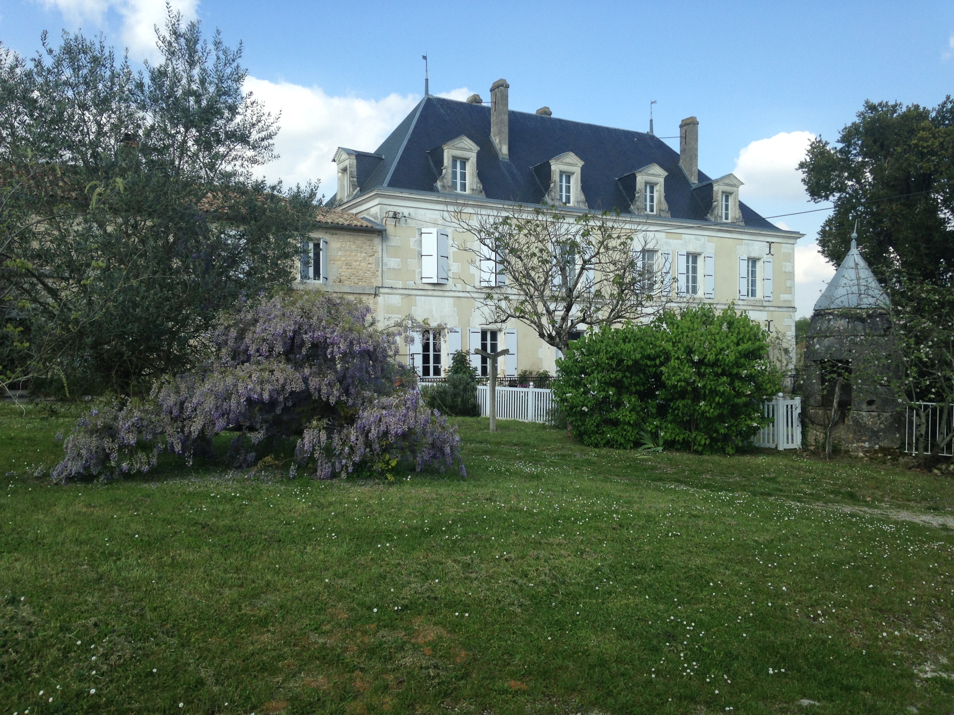 house wisteria