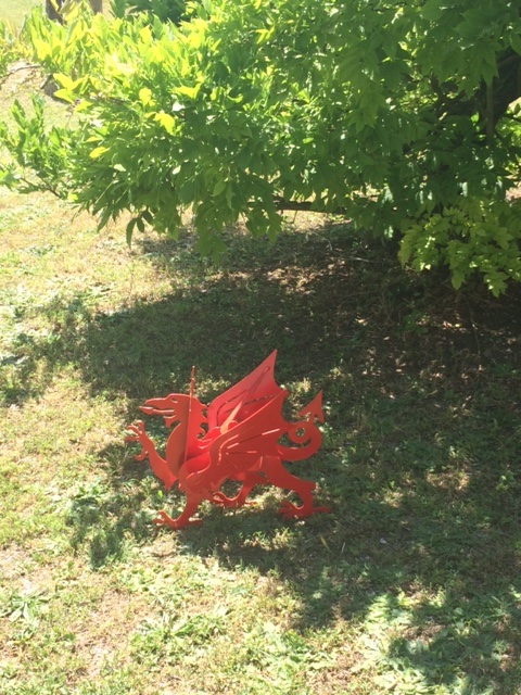 cropped dragon