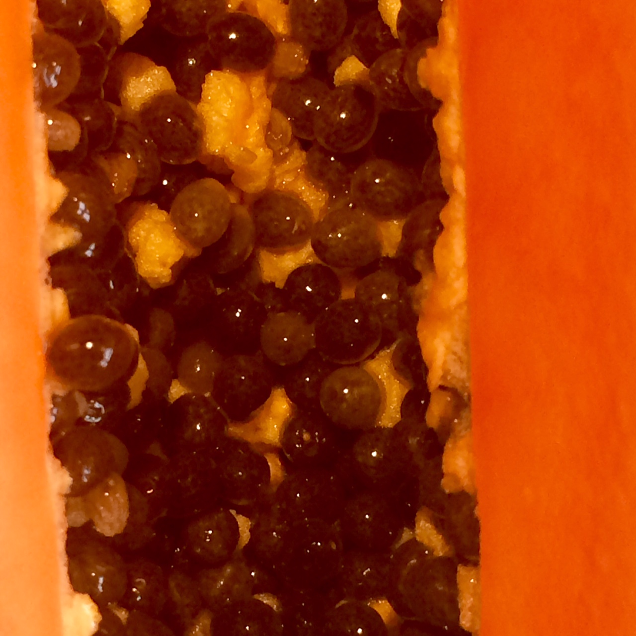 papayaseeds
